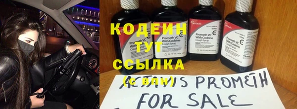 индика Нефтекумск